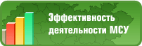 Эффективность деятельности МСУ