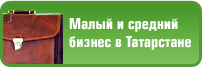 Малый и средний бизнес в Татарстане