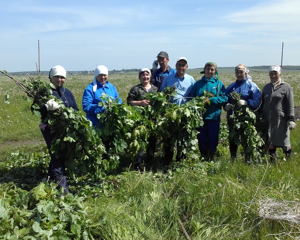 Село тарханы татарстан. Ооо агрофирма алгасовская. Агрофирма кырлай арский район. Агрофирма татарстан высокогорский район. Агрофирмы татарстана.
