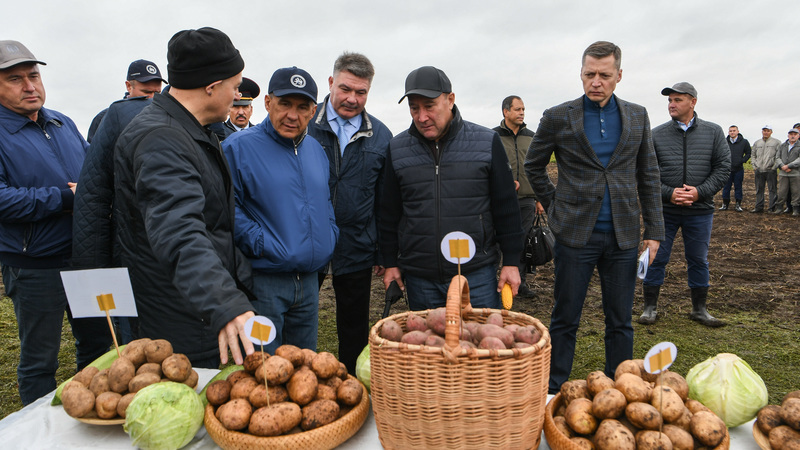 Районы картофеля. Агрофирма Кырлай Каримов Марат. Кырлай Арский район Минниханов. Агрофирма Кырлай Арский район. Президент Кырлай Арск.