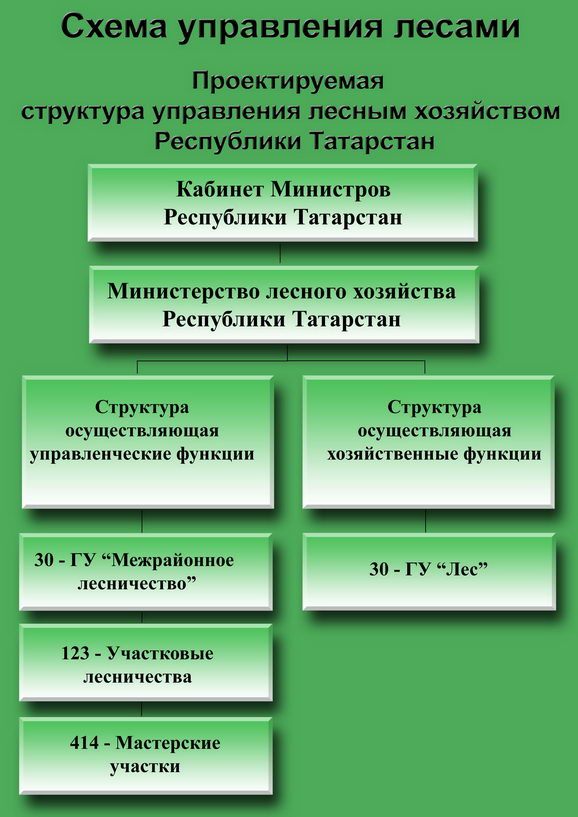 Лесной план республики татарстан